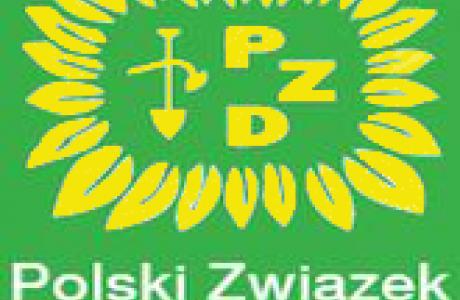 logo-pzd_ostateczne_skalowane.jpg