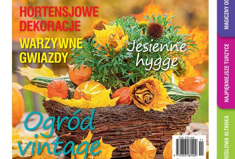  Listopadowy „Mój Ogródek” – od 21.10 w sprzedaży! Kup, przeczytaj, poleć innym działkowcom i ogrodnikom!